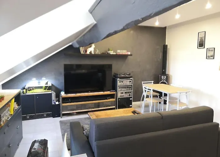 Grand T2 45m2 Vue Dégagé Appartement